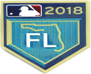 2018 Grapefruit League Spring Training EmbossTech Jersey FL Patch