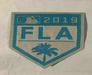 2019 Grapefruit League Spring Training EmbossTech Patch