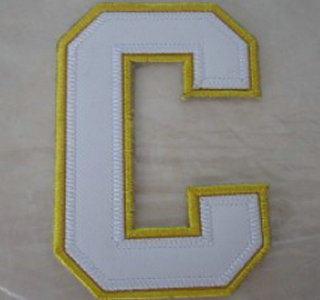 Dallas Stars Captain White C Patch